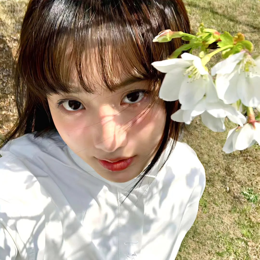 小犬与女孩